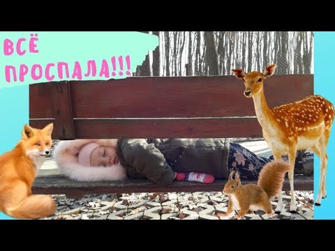 Целый день в лесу! Что ПРОСПАЛА НЮСЯ?