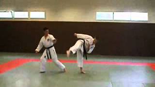 preview picture of video 'Demonstration de l'AshKarate Wado-Ruy. Jean Tharsile.'