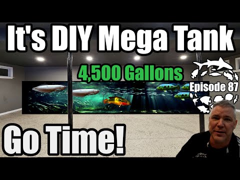 Building the Largest DIY Aquarium I have ever Attempted!