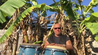 Philippe Saisse Trio- Blue Rondo (V.5 highres)