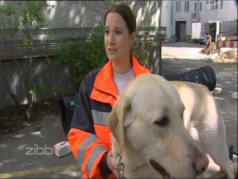 RBB ZIBB - 60 Jahre Berliner Rotes Kreuz