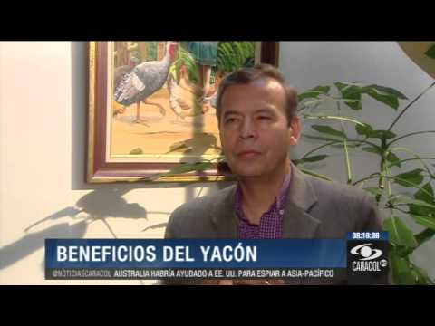 El Yacón, regulador de los niveles de azúcar  - 30 de Octubre de 2013