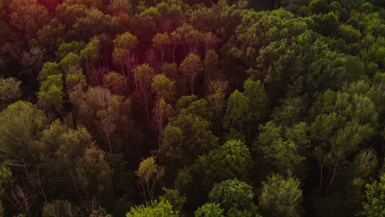 GettyImages 1152165752