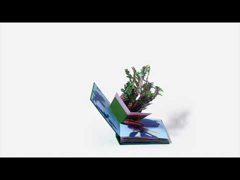 Daniel Gordon: Houseplants Pop-up - Hardcover