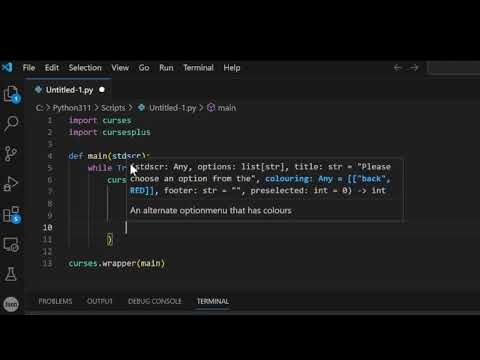 How to make an option menu using Python