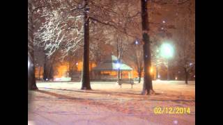 preview picture of video 'February 2014 Snow in Bessemer, Alabama'