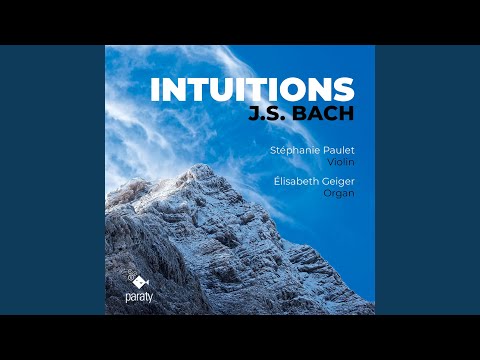 Partita in B Minor, BWV 1002: IV. Sarabande - Double (Arr. for Violin & Organ)