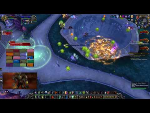 Faithlèss vs Mythic High Botanist Tel'arn - Restoration Shaman POV