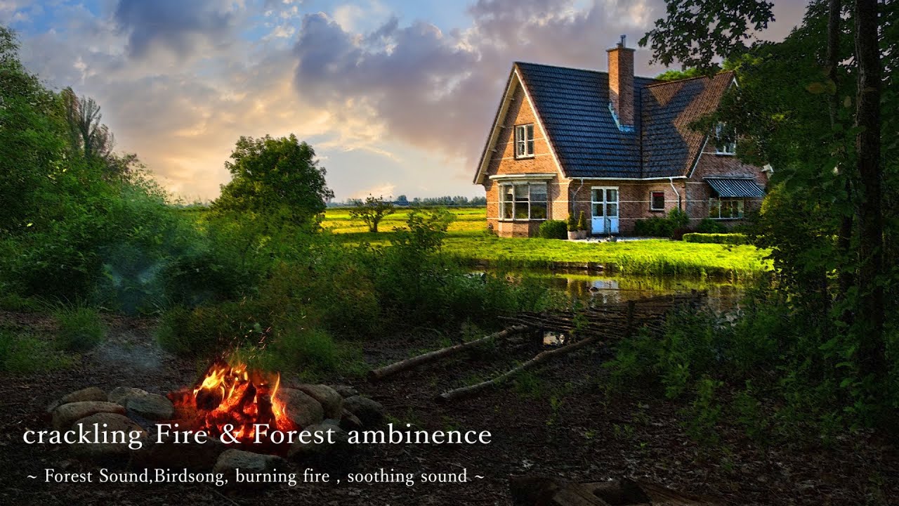 [環境音/ASMR]川原の辺りの焚き火/焚き火の音,鳥の鳴き声/8時間/@soundforestfantasy4400