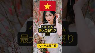 これがベトナムだ!! tet【ベトナムの旧正月】ベトナム最大のお祭り #shorts #ベトナム #ベトナム観光 #vietnam #vietnamtravel #tet #tetholiday