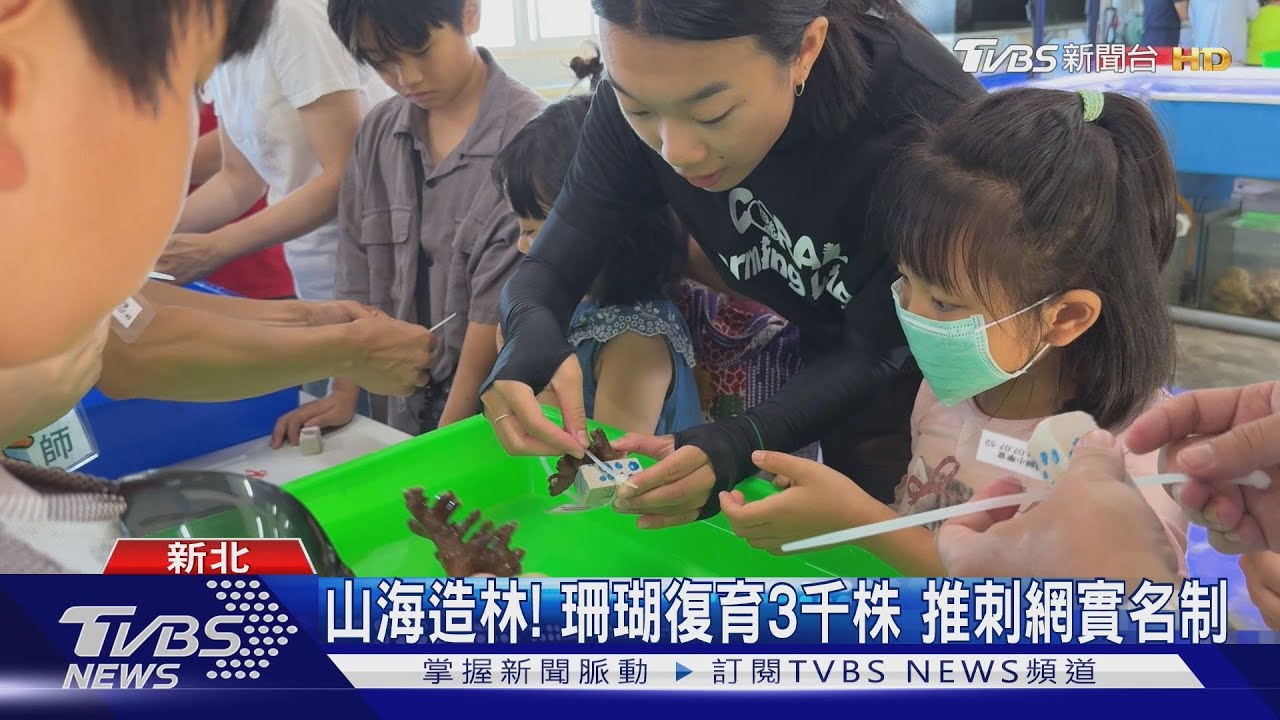 新北推動漁海共好!山海造林海洋復育 擴大永續量能