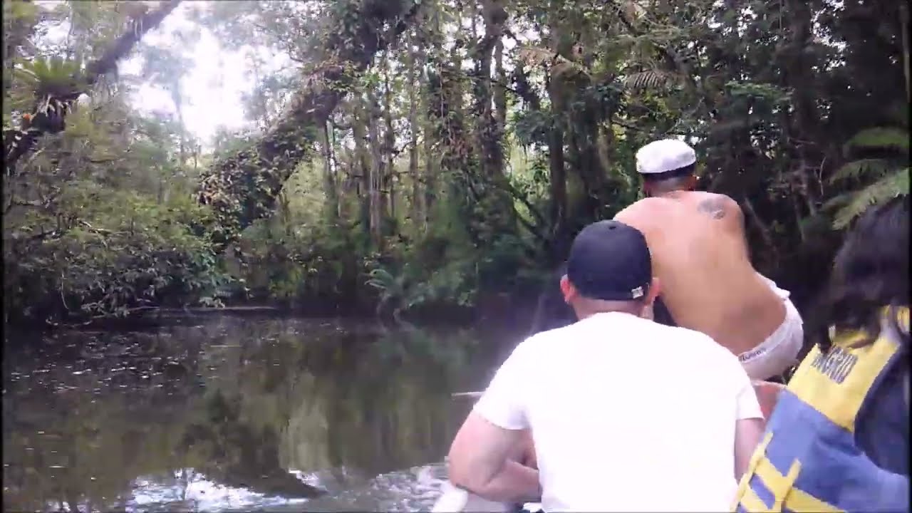 Un día en la selva del pacifico colombiano