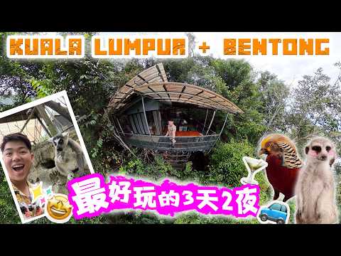 😳 Not Your Typical KL Trip… Feed Exotic Animals & Discover Hidden Galleries  👀✨｜吉隆坡 + 文冬  自由行