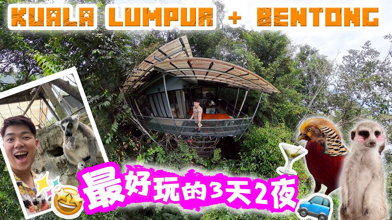😳 Not Your Typical KL Trip… Feed Exotic Animals & Discover Hidden Galleries  👀✨｜吉隆坡 + 文冬  自由行