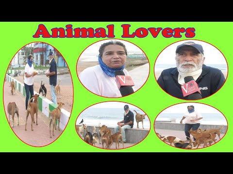 Lockdown Animal Lovers Feeding Food to Street Dogs at Beach Road in Visakhapatnam,Vizagvision...