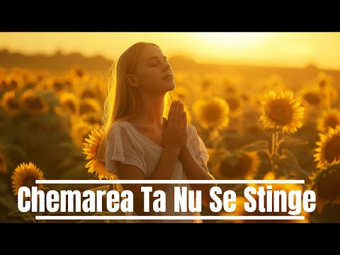 Muzica Pentru Suflet and Muzică Creștină