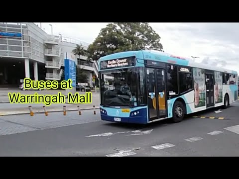 Buses at Warringah Mall