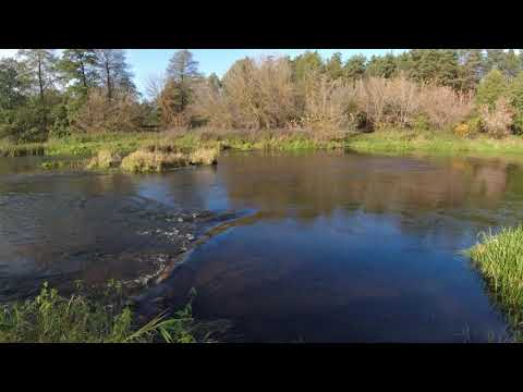 WKRA Wędkarski rekonesans Pomiechówek-Cieksyn 24km brzegami rzeki 30.10.2023