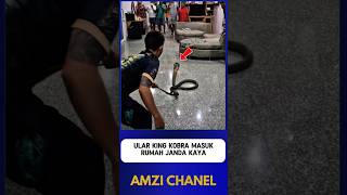 Download lagu King Cobra Enters Rich Widow's House Part 1 mp3 Download lagu King Cobra Enters Rich Widow's House Part 1 mp3