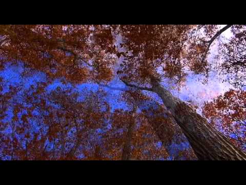 Autumn Electro-Ambient Mix
