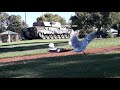 Seagulls Fight Over Apple Scraps In Pizza Box