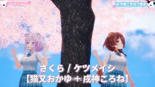 【猫又おかゆ+戌神ころね】さくら/ケツメイシ【3Dライブ切り抜き】