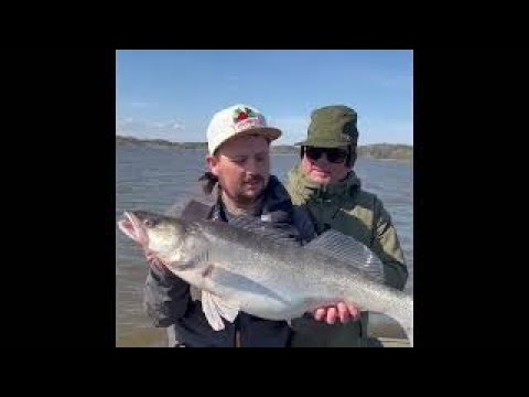 Fiskeguide Berra Mårdh – Födelsedagsfiske