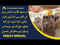 2 Cows Dairy Business Plan 2024 II Small Scale Dairy Farming Feasibility 2024 In Pakistan