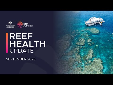 Reef health update - September 2025 | Great Barrier Reef Marine Park Authority