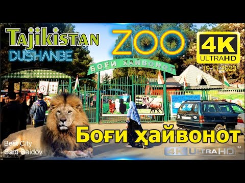 Dushanbe Tajikistan, Боги хайвонот, ZOO, Зоопарк, Said Saidov #tajikistan #dushanbe #zoo #зоопарк