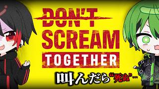 【DON'T SCREAM TOGETHER】少しでも叫んだら終わりのゲームをポジティブ二人がやると…【KAITO】【かんなちゃろ】【めろぱか】【boomment】