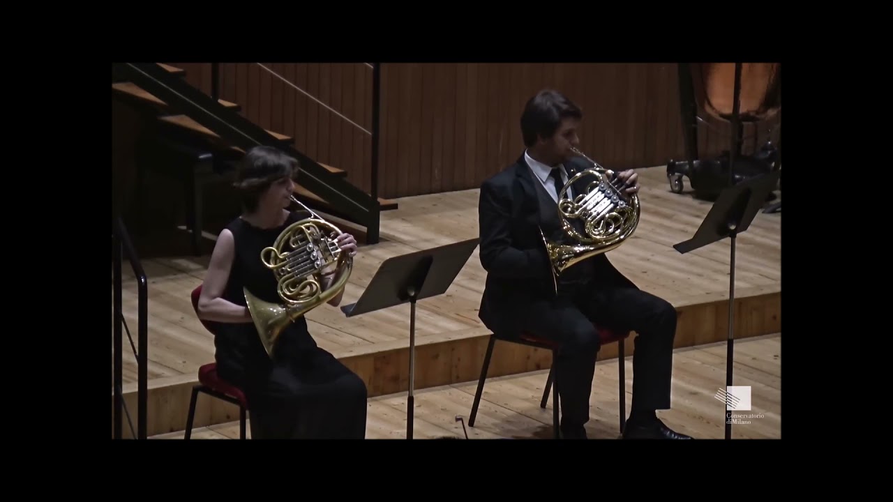 CONCERTO 8 MAGGIO 2021 - 2 thumbnail