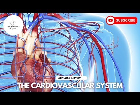 Nursing Student Summer Review: The Cardiovascular System