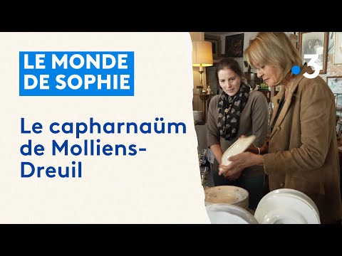 Le monde de Sophie : Le capharnaüm de Molliens-Dreuil