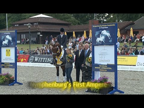 Hannoveraner Reitpferde-Championat 2014 der Dreijährigen Hengste - Nymphenburg's First Ampere