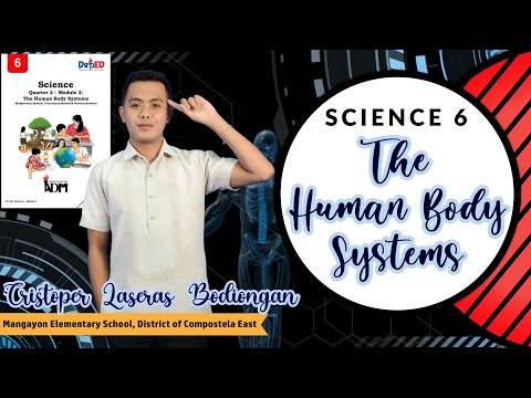 SCIENCE 6 (Quarter 2-Module 2): The Human Body Systems