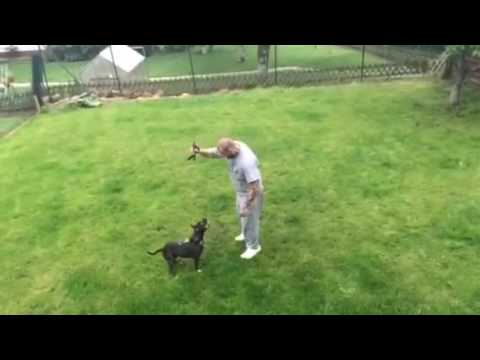 trim 69CCEA0C E1AA 4335 8948 22133FBD610C