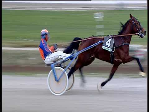 Trotto 22/01/2019 - 1ª corsa