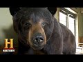 Swamp People Jacob S Man Cave Season 10 Bonus History