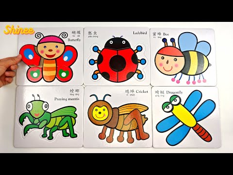 Learn Insect Names & Facts with Activity Puzzle 🦋 🐞 🐝 Preschool Learning Video for Toddlers & Kids