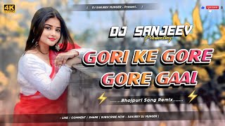 Download lagu Gori Ke Gori Gaal Dj Song | Full Electro  Dance Mix | Samjeev In The Mix Munger mp3