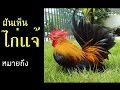 ทํานายฝัน เลขเด็ด แม่นๆ ฟรี