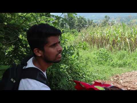 This video includes about the way to sheuli,Chitwan