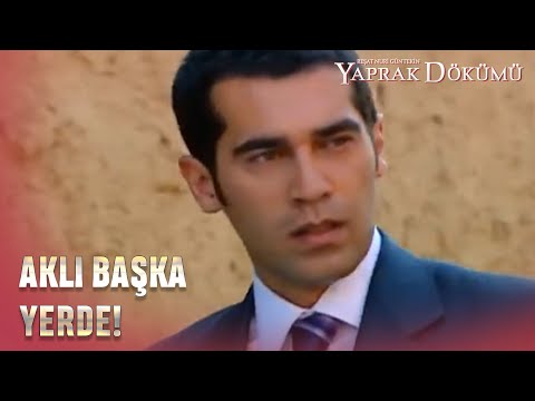 Sedef, Şevket'in Üzgün Halini Gördü! - Yaprak Dökümü Özel Bölüm