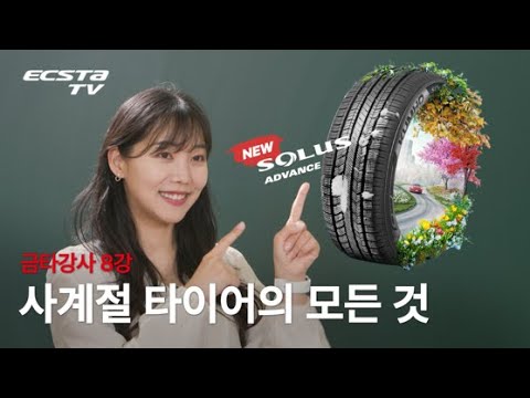 ��ȣŸ�̾� �ַ罺 ���꽺 205/55R17