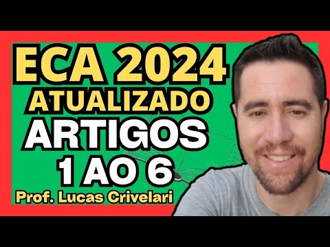 ECA 2024: UPDATED AND COMMENTED - ARTICLES 1 TO 6