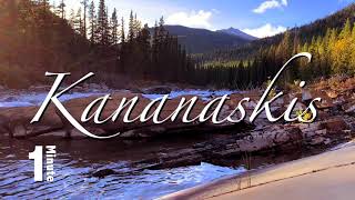 Meditation Minute.  Relax with Nature.  Take a 60 second nature break to reset, relax and revive.