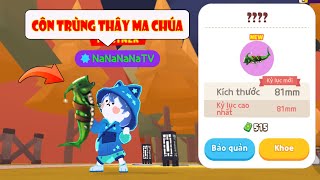 (Play Together) Truy Bắt Côn Trùng Thây Ma Chúa Chưa Có Trong Bách Khoa Toàn Thư