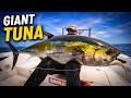 The Ultimate Yellowfin Tuna Compilation 2 Hours