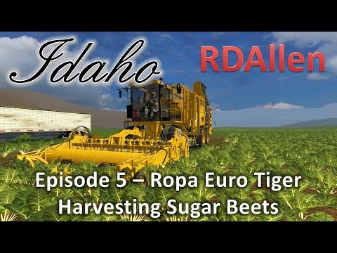 Farming Simulator 15 MP Idaho E5 - Ropa Euro Tiger Harvesting Sugar Beets